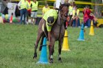 File:4ème manche du championnat suisse de Pony games 2013 - 